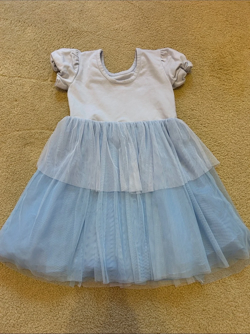 Hanna Andersson Light Blue Tulle Dress with Puff Sleeves